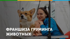 Франшиза груминг салона GROOM