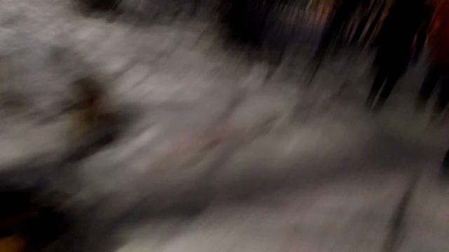 Рада везет на санях Еву ноябрь 2016 смотреть онлайн