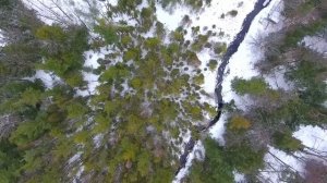 Падать и вставать... - Дмитрий Ковалев