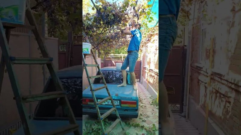 Два лайфхака  #автопроект#ваз#жига#ваз2107#жигули#корч#shortvideo#shorts#short#лайфхаки#лайфхак