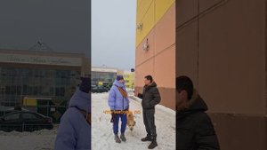 ЗЕЛЕНЫЕ ГОРКИ В ТОМСКЕ.mp4