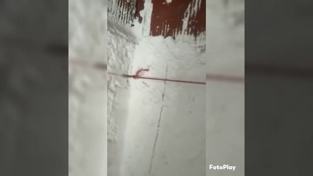 nível a laser auto nivelante bom e barato huepar. смотреть онлайн