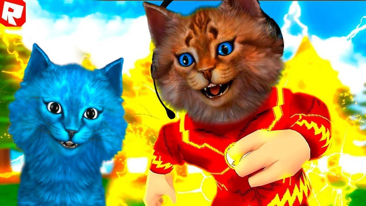 Включи коты в ютубе. Включи коты в ютубе