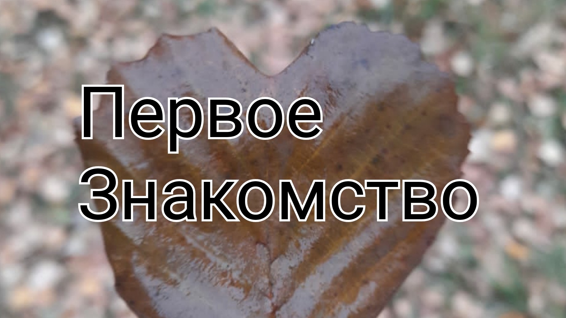 приятно познакомится