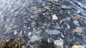 Озеро Абрау Краснодарский край Абрау-Дюрсо 🐟 говорят там много Щуки
