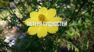 Потеря Сущностей