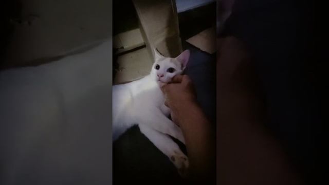 Oh God!Amma says I am having very Cute Black Eyes❤️❤️❤️Please subscribe🙏 смотреть онлайн