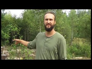 Анатолий Орлов "Как создать райское место на земле"