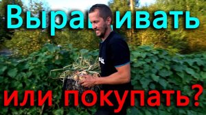 Что выгоднее покупать или выращивать самому_