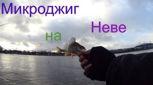 Микроджиг в Ноябре на Неве ... Black Dragon 0.5-5 грамм.