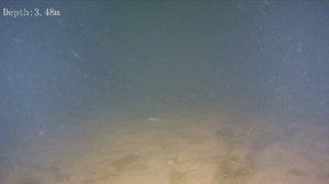 Напротив Белого берега 4.12.2024
QYSEA FIFISH v6s Expert