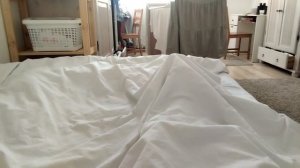 я заболела больше не могу снимать ролики, предупреждение Элис.