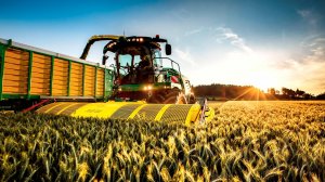 Российские фермеры получат рекордные выплаты по агрострахованию