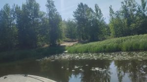 2023 год Август. Большой Кумикуш. 19