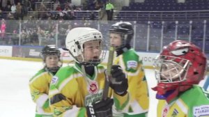 ДХЛ "Дети и Звезды"