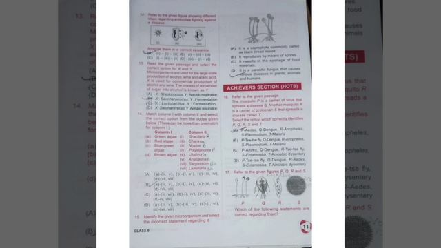 Class 8th NSO workbook solutions of chapter 2 : Microorganisms. смотреть онлайн