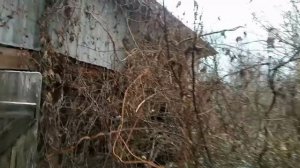 Новое приобретение