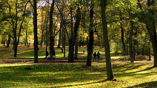 О неосуждении. Цитаты духовных наставлений православной молитвенной практики смотреть онлайн