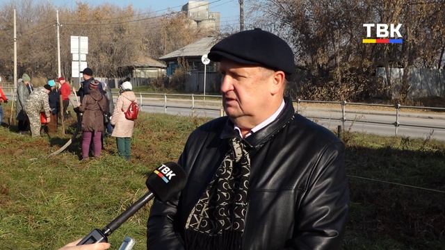 Искитим “зеленеет”: более тысячи деревьев посадили горожане за год