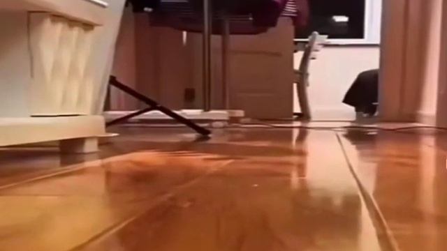 "3 тархуна" сниппет (feat.Ксенон,Бемон) смотреть онлайн