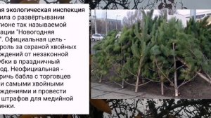 Николаев 5 ноября 2024 года (новости)