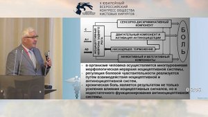 Меркулов М.В.: физиология боли. Особенности иннервации и формирования боли на кисти.