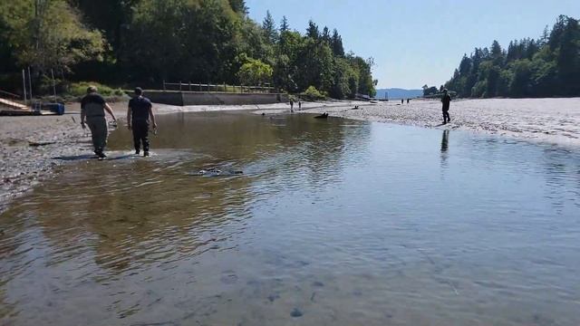 ЛОВИМ ЧАВЫЧУ В РУЧЬЕ | ПОЛНЫЙ ОТЛИВ смотреть онлайн