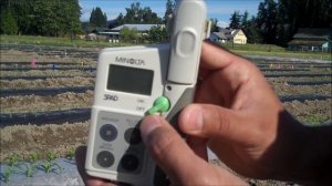 SPAD meter for chlorophyll measurement