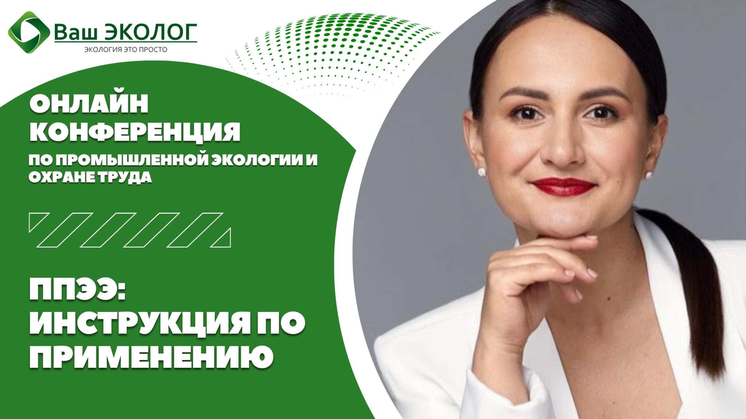 Программа повышения экологической эффективности: инструкция по применению