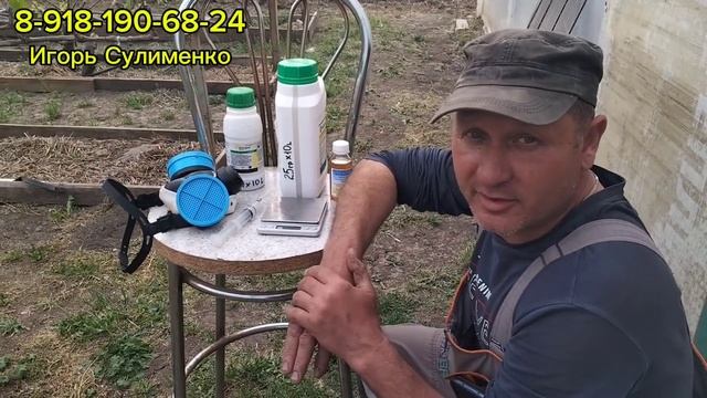 Первая обработка винограда.