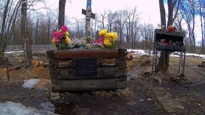 Прогулка в Александровском парке