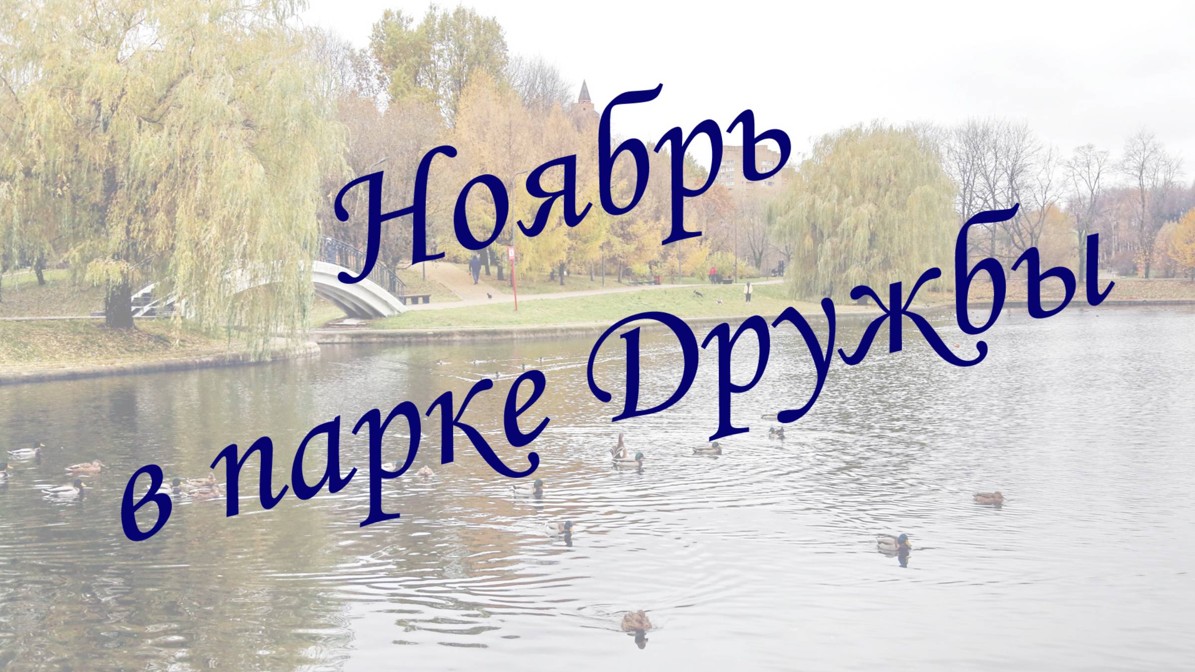 Ноябрь в парке Дружбы