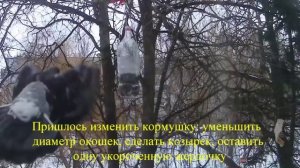 Кормушка - этапы