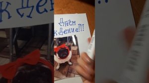 поздравляю свою собаку с днём рождения🥳