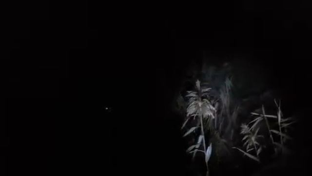 ,, Чёрная Звезда " - эпос одиночеству . читает автор . В мире неопознанных грёз ! смотреть онлайн