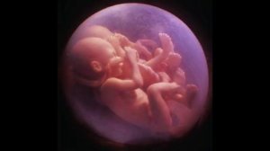 Светлана Копылова -  Близнецы