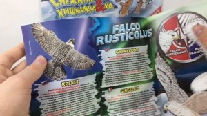 СНЕЖНЫЕ ХИЩНИКИ И КО МАКСИ - Классные игрушки с СУПЕР-ЭФФЕКТАМИ Сюрпризы. ICE ANIMALS & CO Unboxing