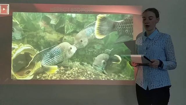 Защита Щеглова Полина смотреть онлайн