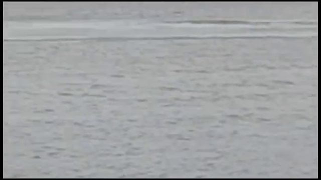 пожар 29.06.23 на острове в Зелёном Бору смотреть онлайн