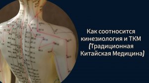 Как соотносится кинезиология и ТКМ (Традиционная Китайская Медицина)