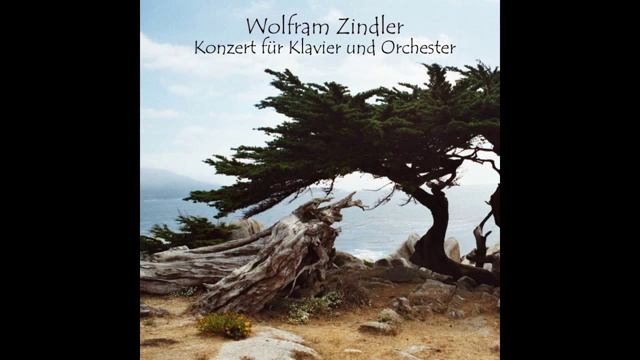 Wolfram Zindler - 3.Satz Presto (vorschau) смотреть онлайн