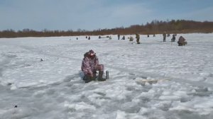 Ночная рыбалка на налима. Заезжаем в Кривячку.