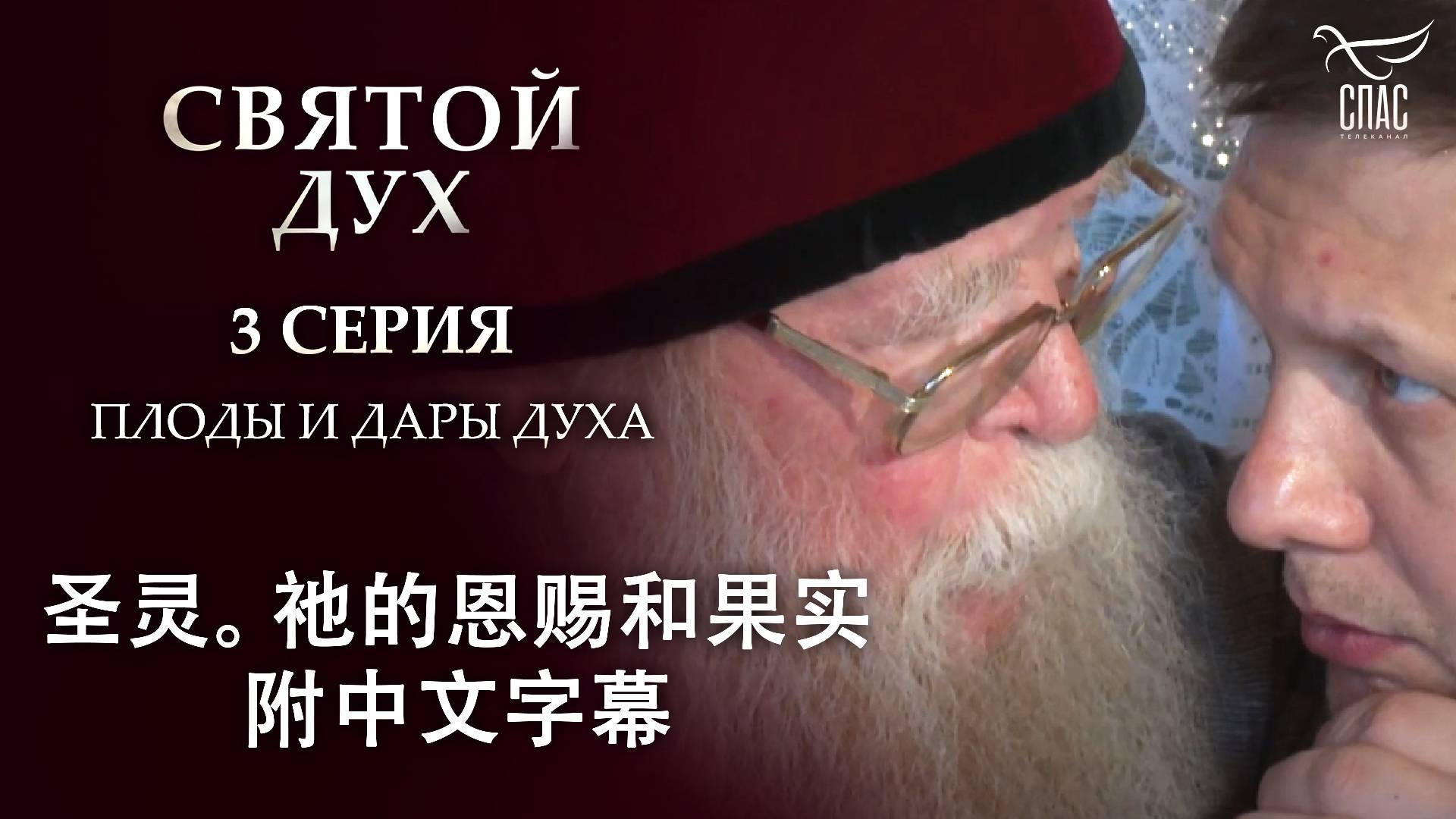 圣灵祂的恩赐和果实附中文字幕 СВЯТОЙ ДУХ. ПЛОДЫ И ДАРЫ ДУХА. С КИТАЙСКИМИ СУБТИТРАМИ