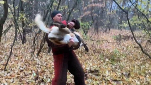 Belgian malinois working with suit - Etuz iz Gratsiano смотреть онлайн