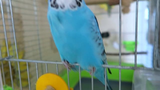 МЫ СНОВА С ВАМИ!!! смотреть онлайн