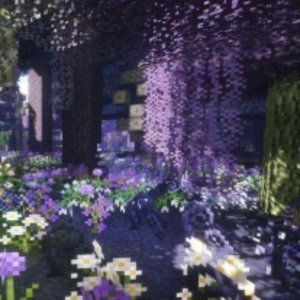 удивительные истории и моменты в моей жизни