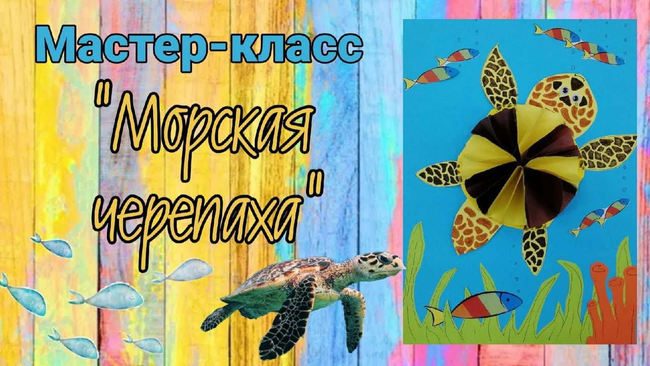 мастер-класс "Морская черепаха"