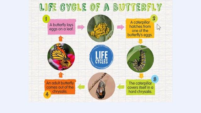 Grade 5: Semester 1 Unit 3 Growing Up Lesson 2 SB Ps. 22-23  Activities 12 and 3