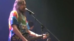 гражданская оборона   собаки