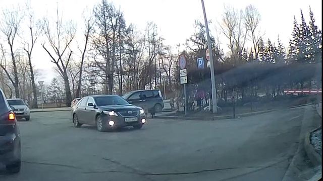 Безопасные собаки на улице... смотреть онлайн